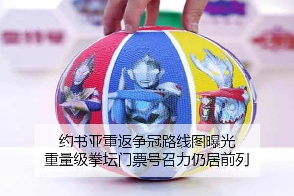 yue-shu-ya-chong-fan-zheng-guan-lu-xian-tu-bao-guang-zhong-liang-ji-quan-tan-men-piao-hao-zhao-li-reng-ju-qian-lie-2-432.jpg